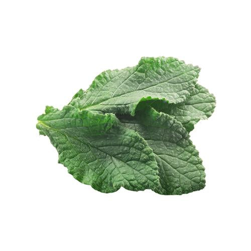 Tongue Leaves Jordan 1Kg