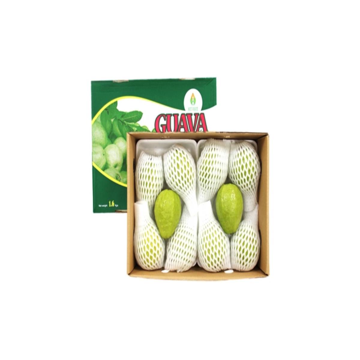 Guava Red Flesh Vietnam 1600g Box