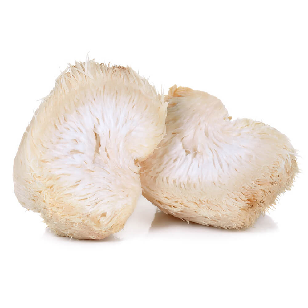Lion's Mane Mushroom Spain 200g
