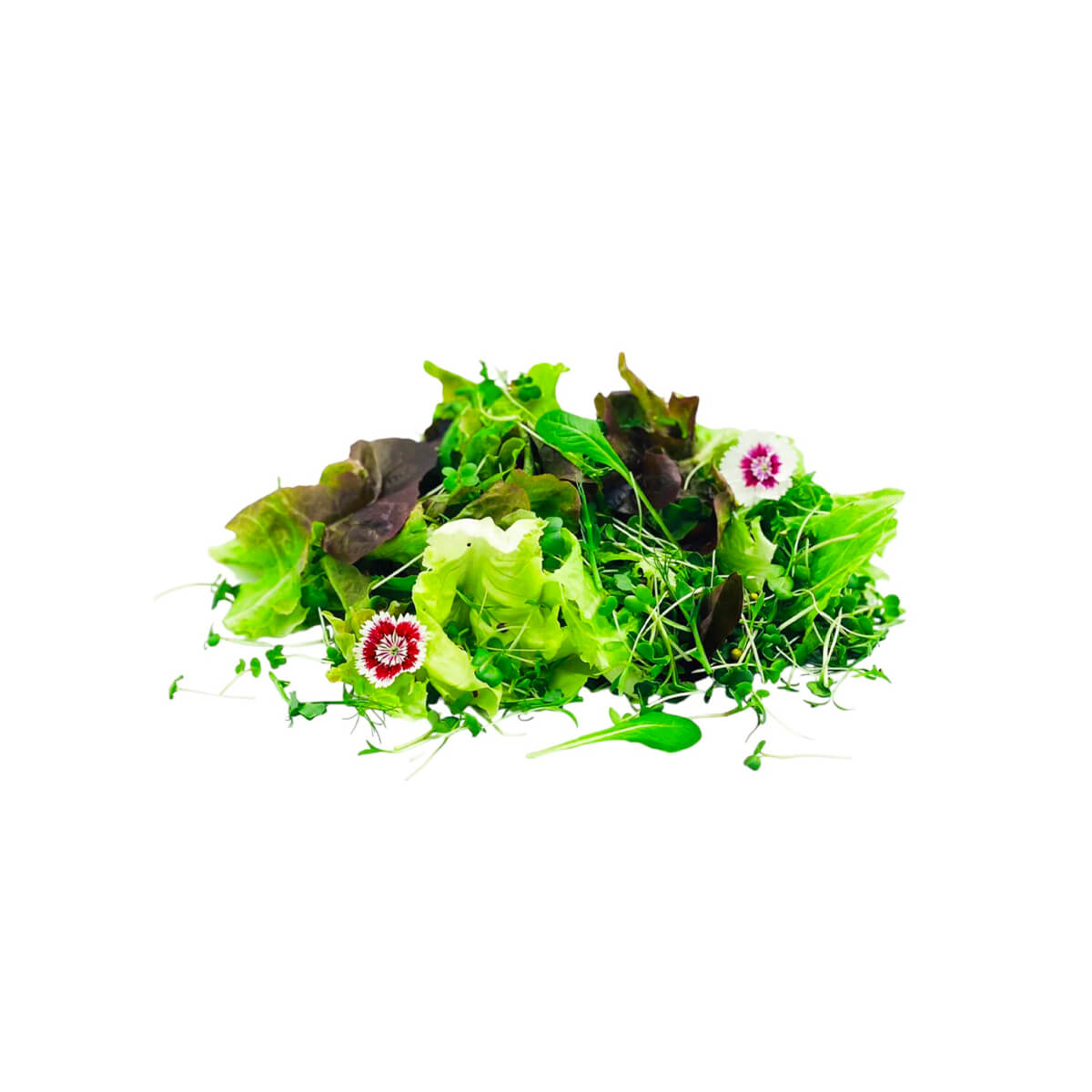 Summer Savoy Mix UAE 100g