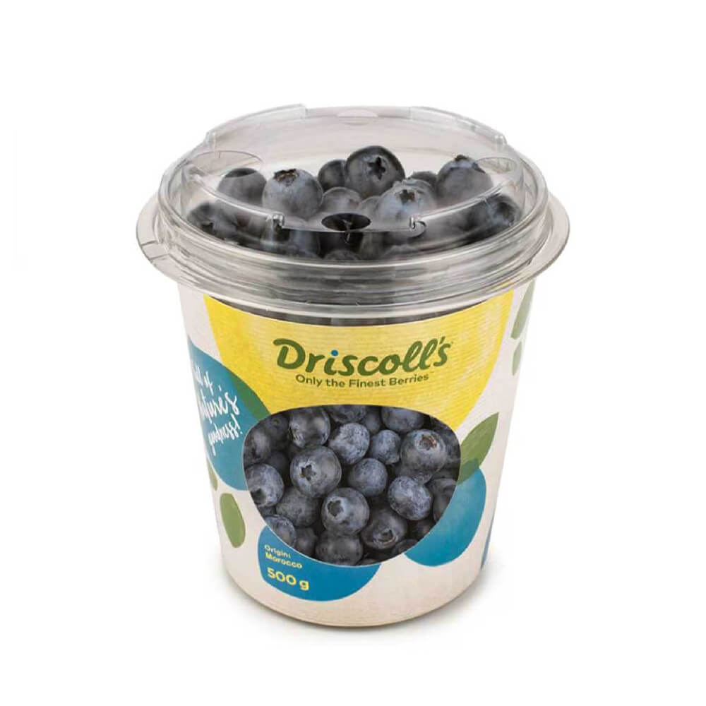 Driscoll's Blueberry Morocco 500g