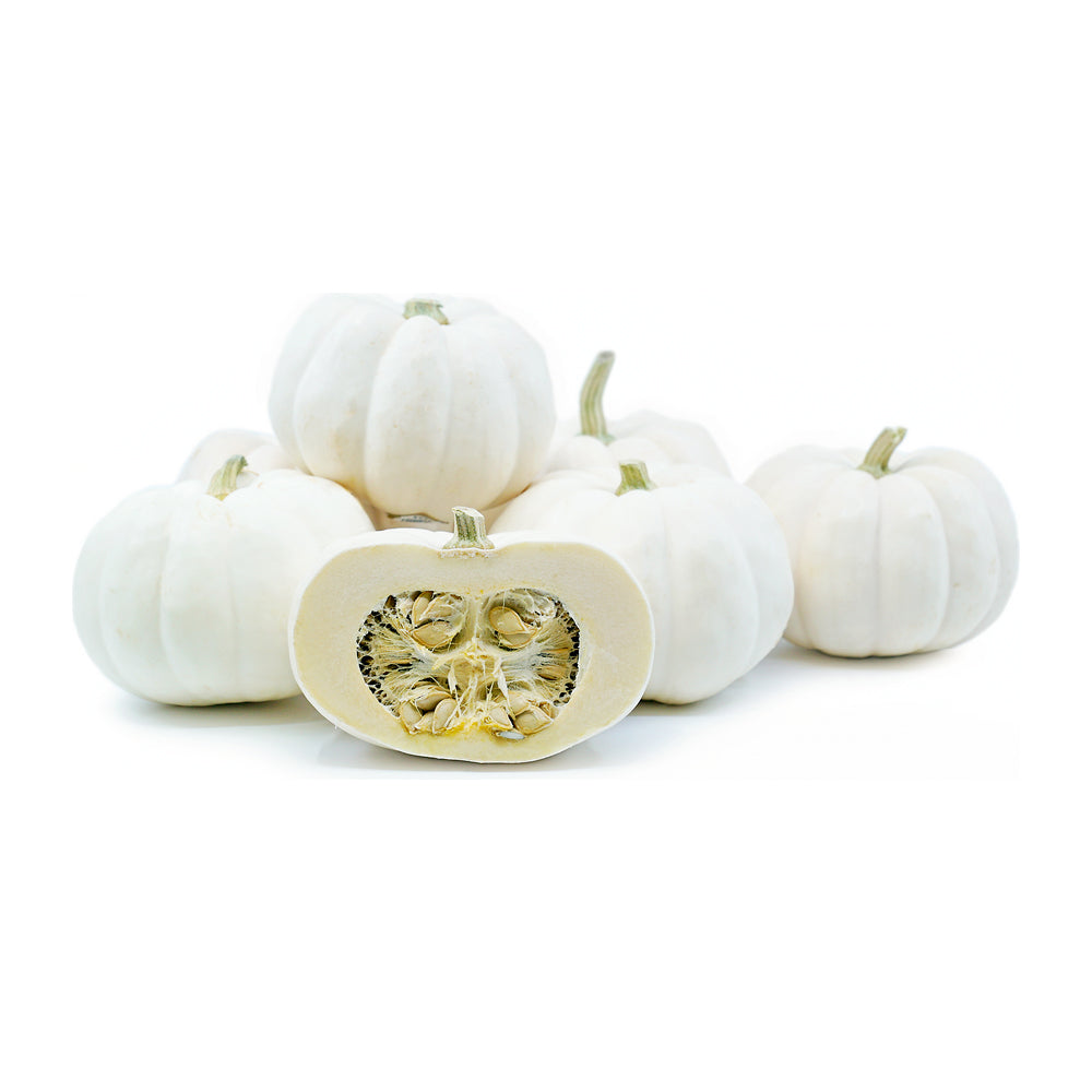 Pumpkin Mini White