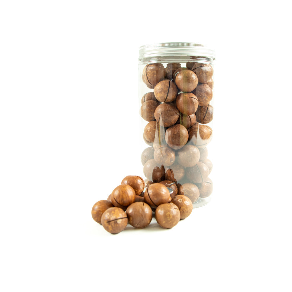 Macadamia With Shells