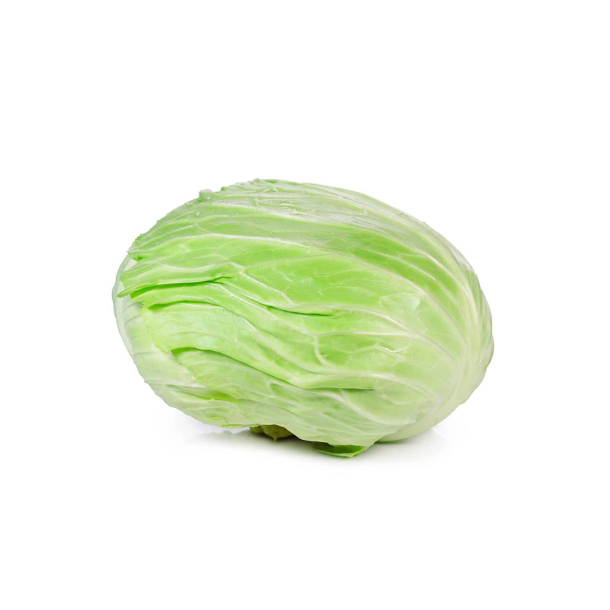 Cabbage White Flat Jordan +2.5Kg