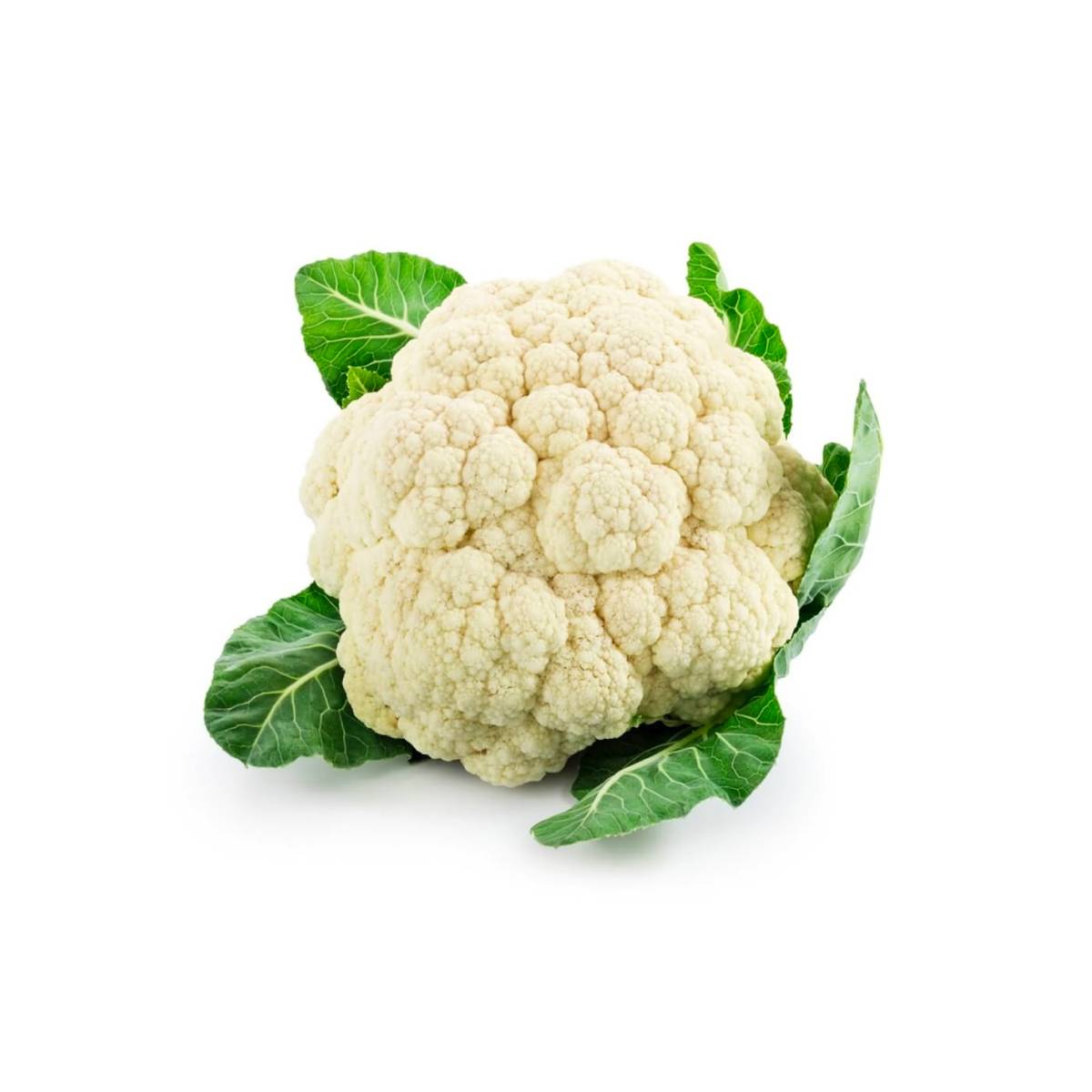 Cauliflower UAE +1.2Kg/pc