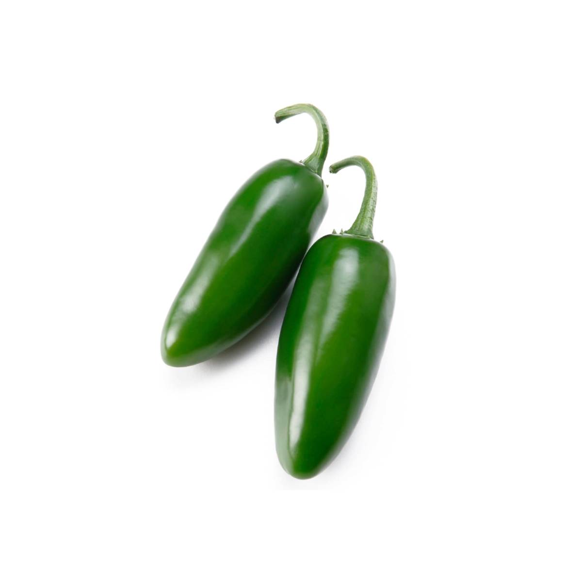 Chilli Jalapeno Uae 300g Pack