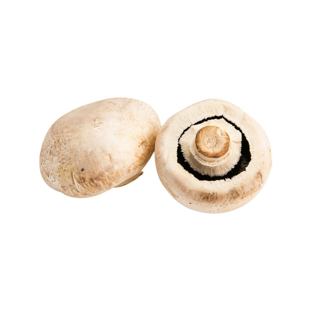 Mushroom Giant Netherlands 500g