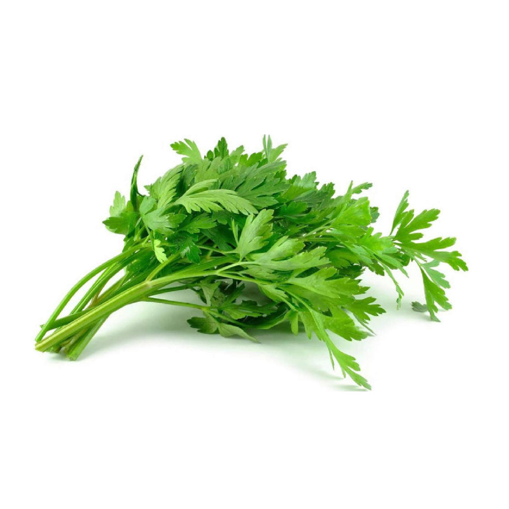 Parsley Organic Uae 1 Bunch