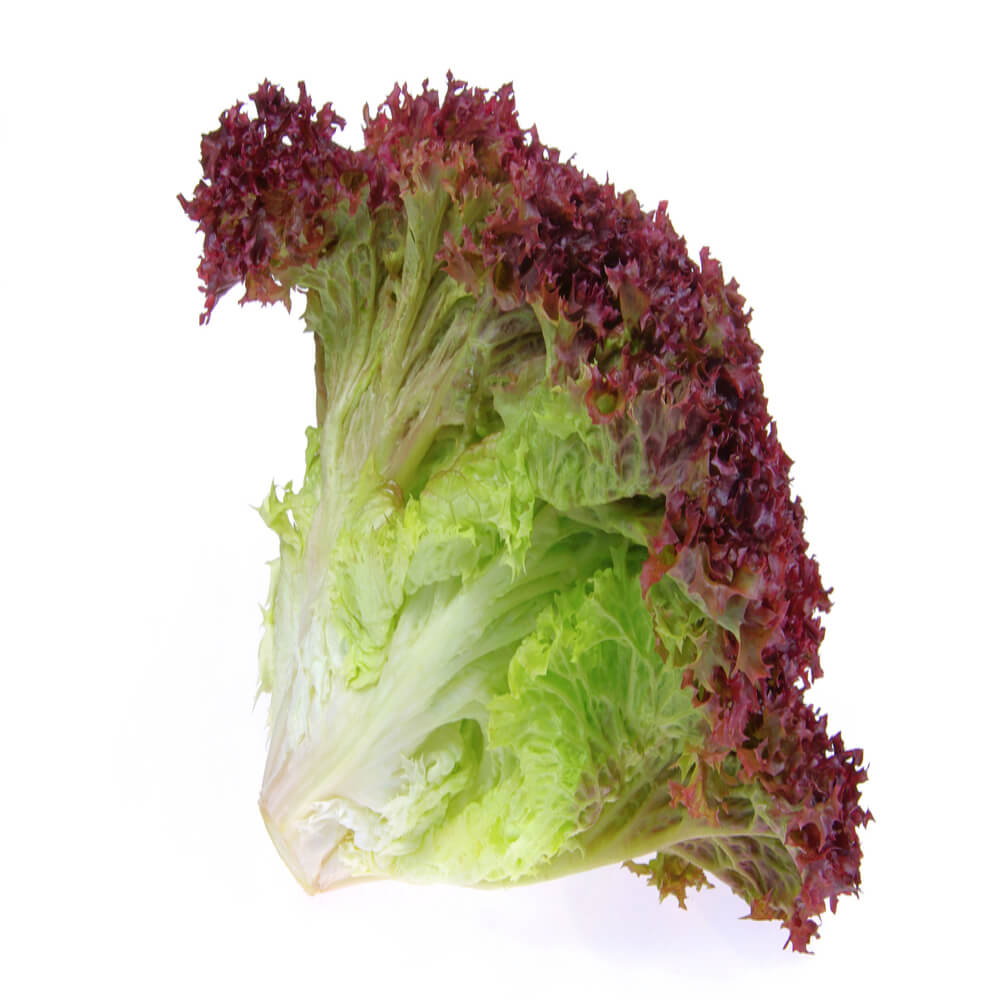 Lettuce Lollo Rosso UAE +150g/pc
