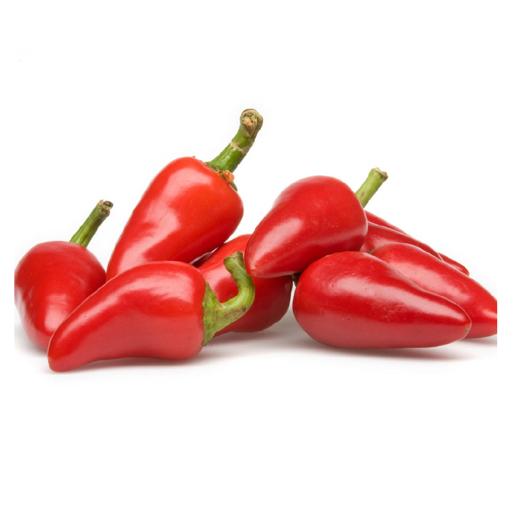 Chili Red Jalapeno Netherlands 100g