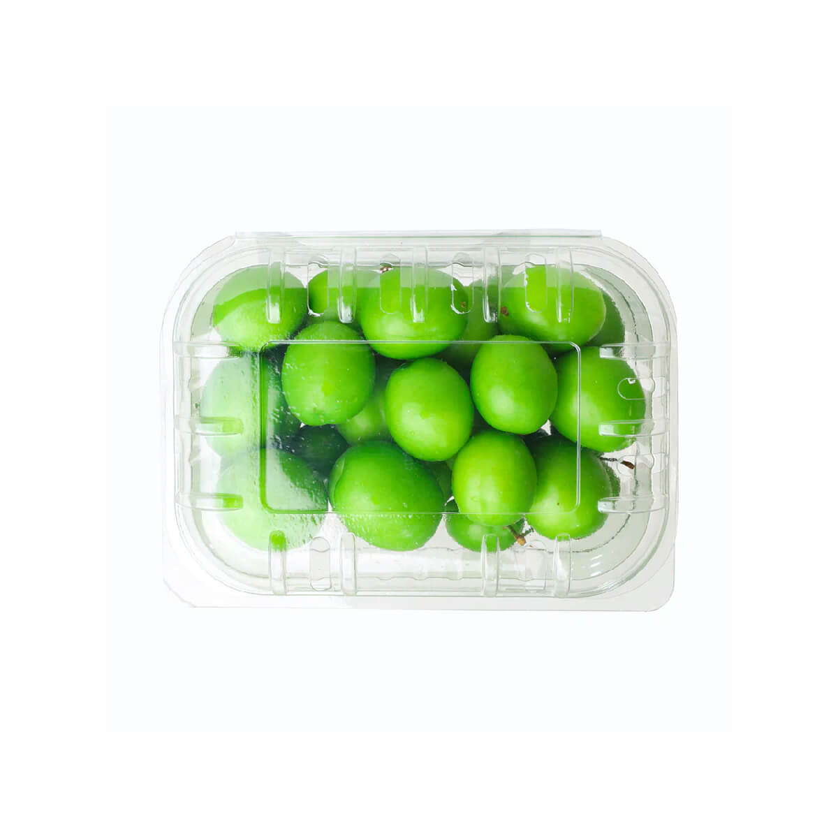 Janerik Iran 250g Pack