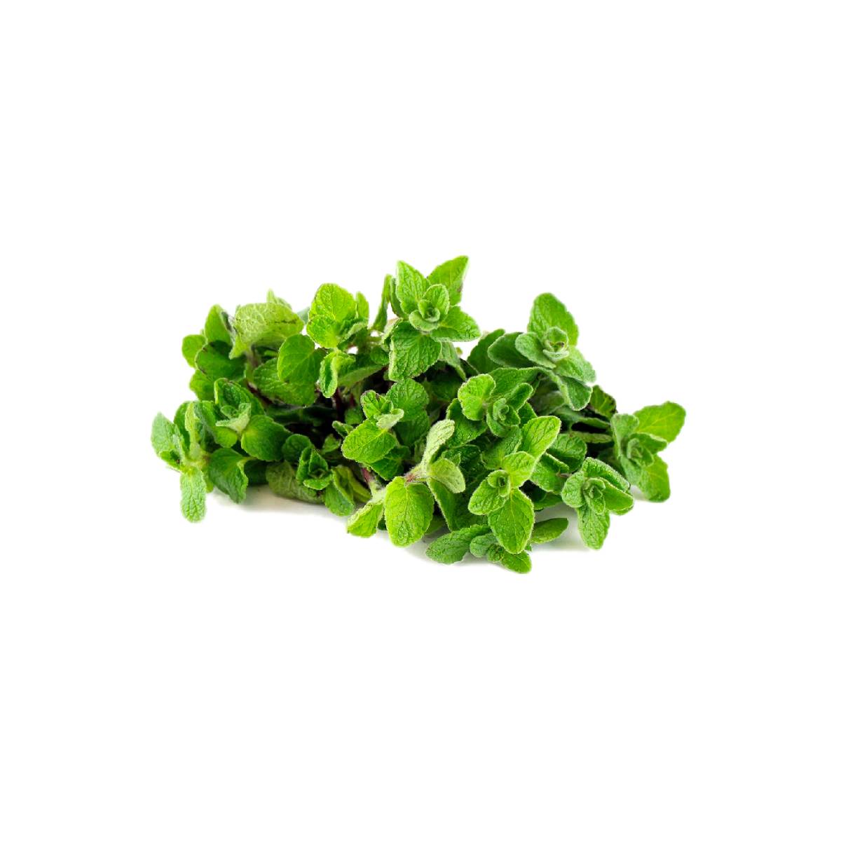 Mint Premium UAE 250g
