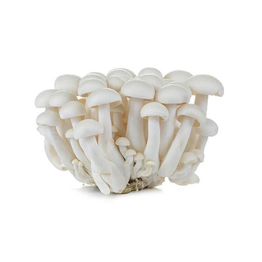 Mushroom Shimeji White China 150g