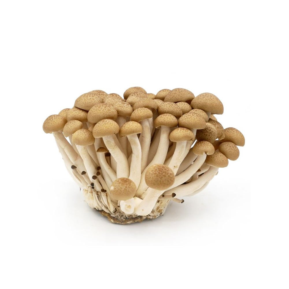 Mushroom Shimeji Brown China 150g