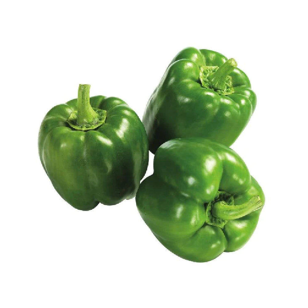 Capsicum Green Lebanon 500g
