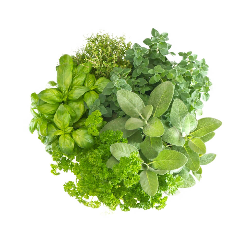 Shera Uae 1 Bunch