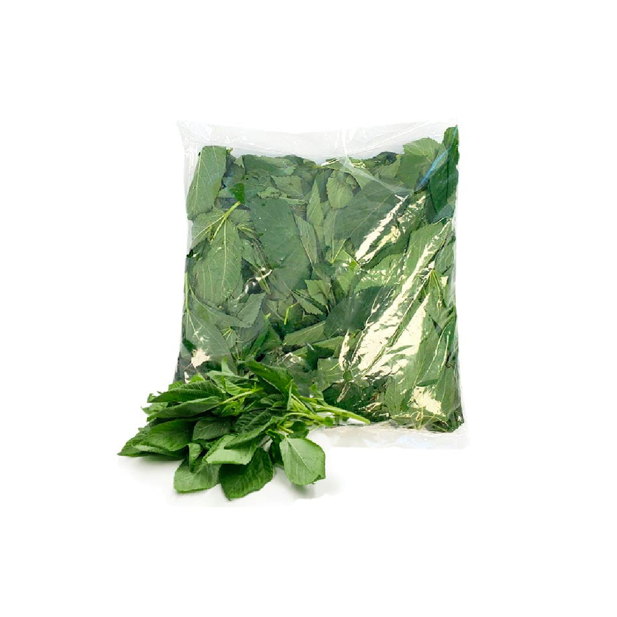 Fresh Molokhia Lebanon 500g