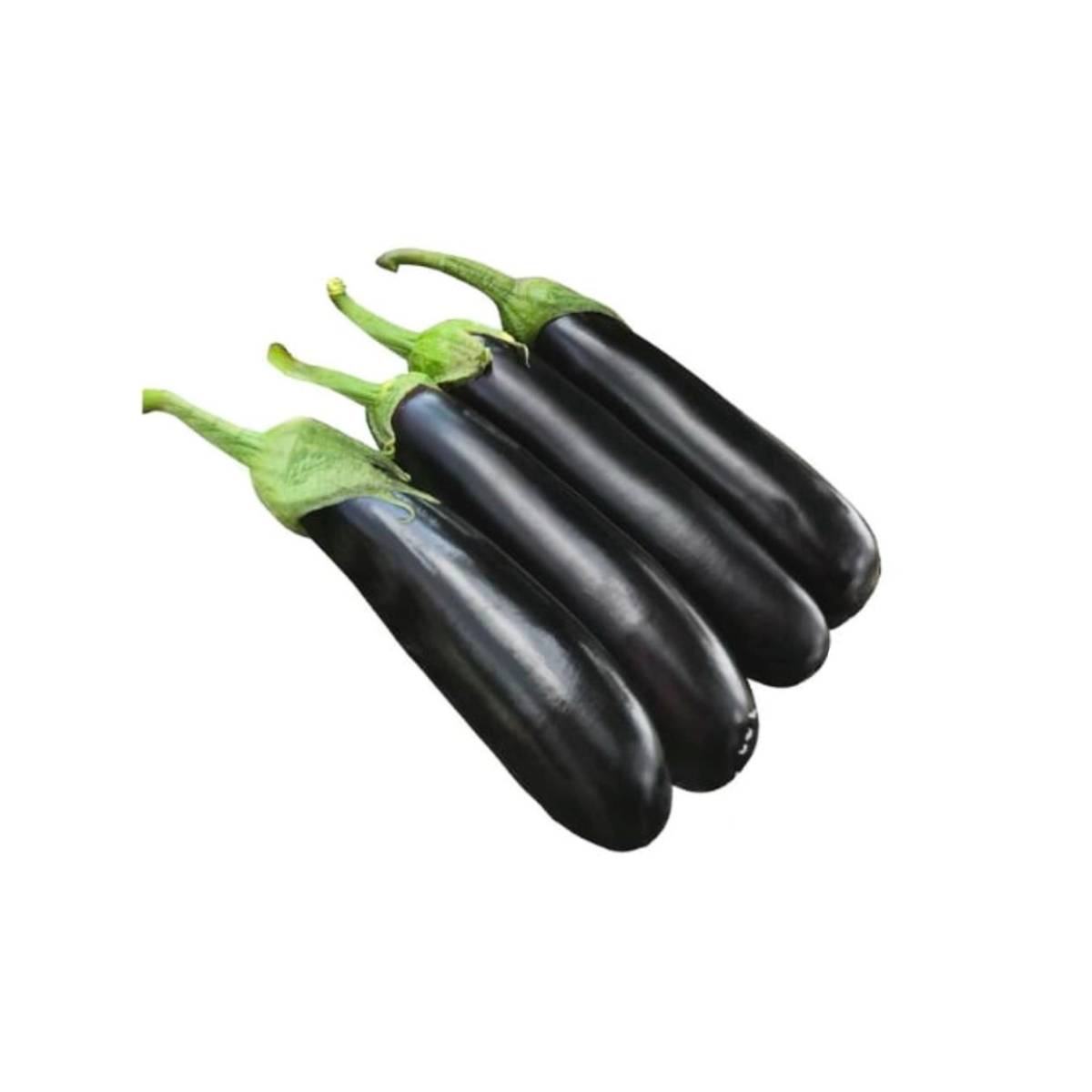 Eggplant Long Organic Uae 500g