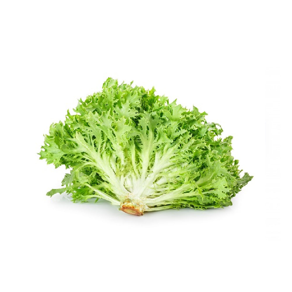 Lettuce Frissee Uae 125g Pack