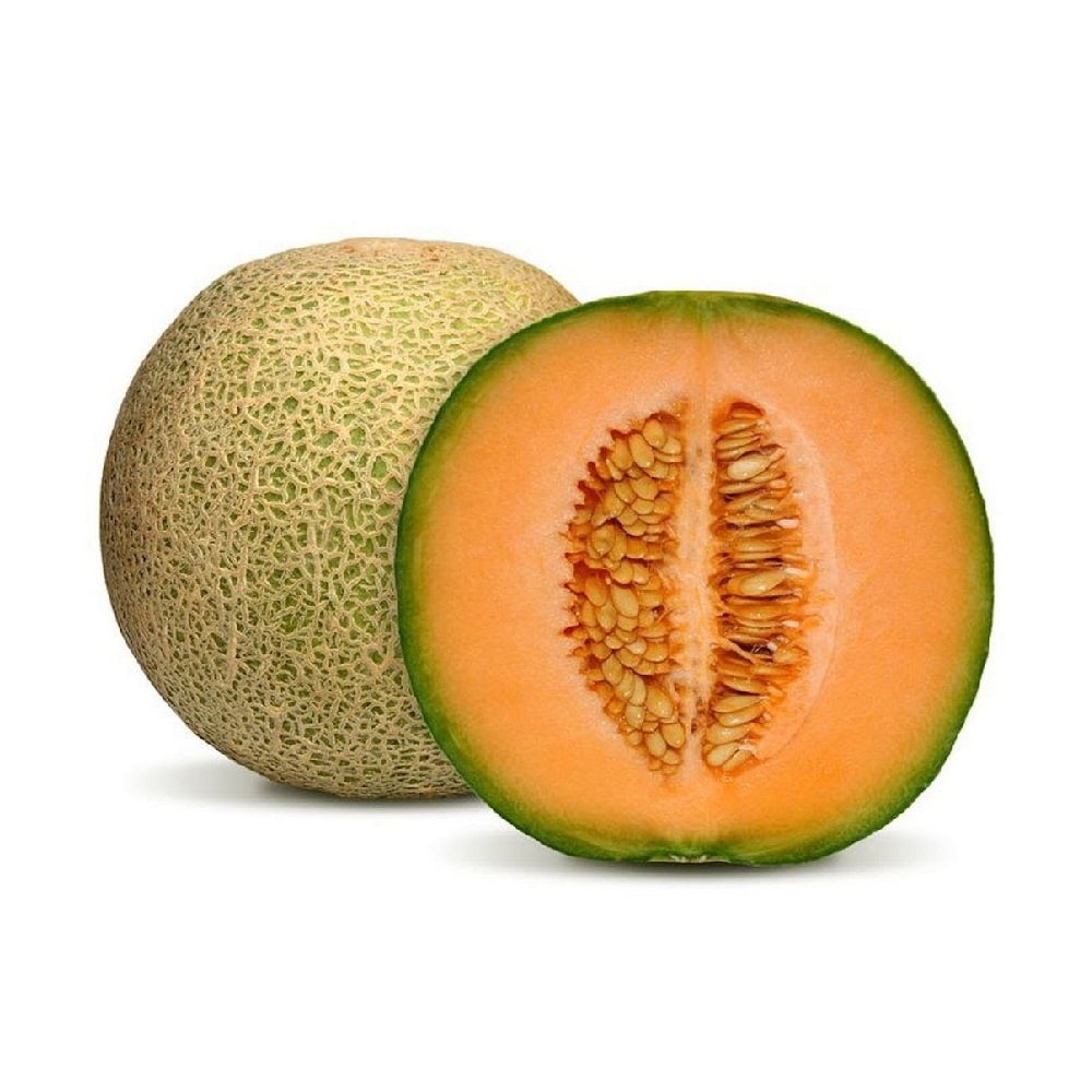 Rock Melon Oman +1.5Kg/pc