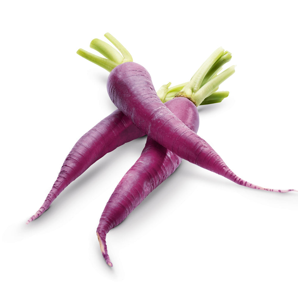 Mini Carrot Top Purple South Africa 200g Pack