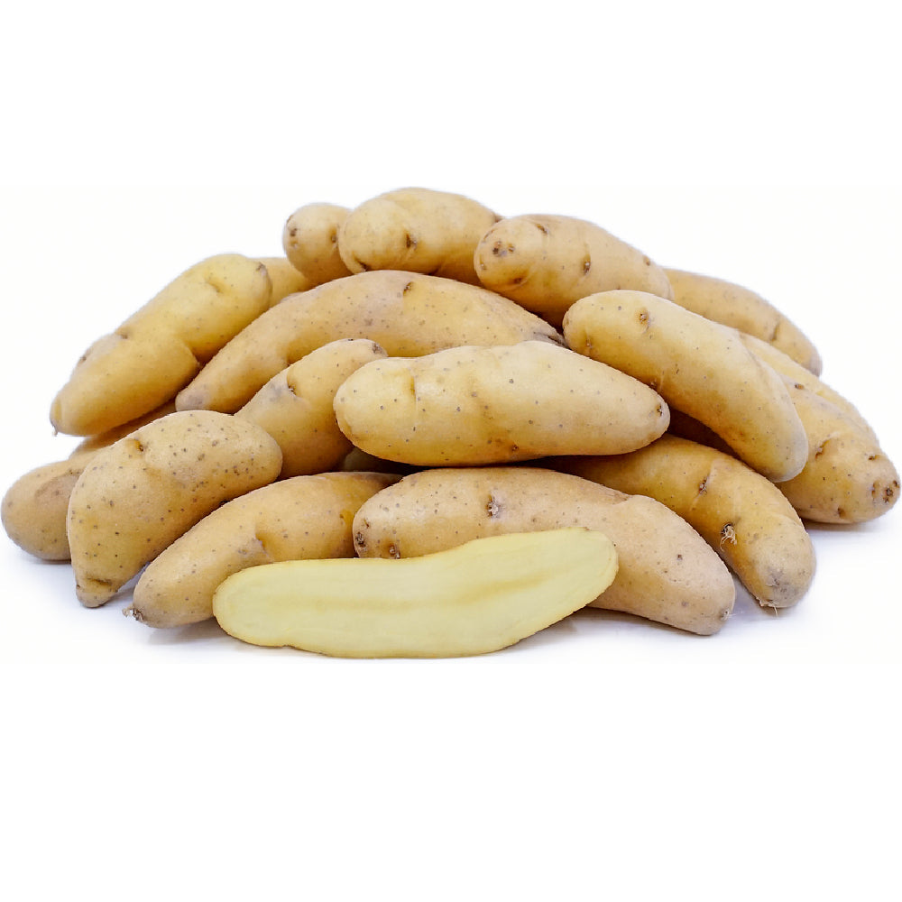 Potato Pioneer Yellow Fingerling Usa 1 Kg