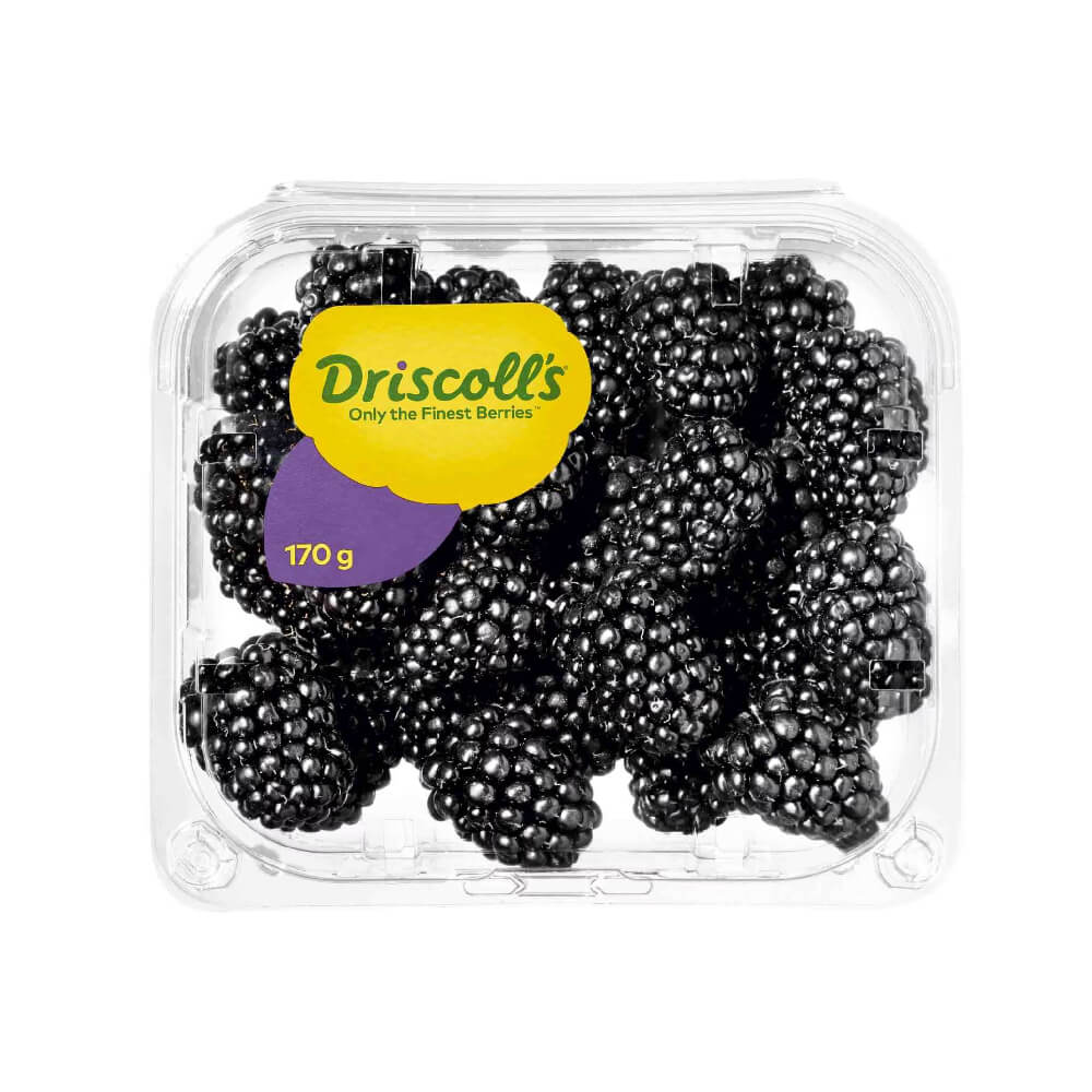 Driscoll's Blackberry South Africa 170g Pack