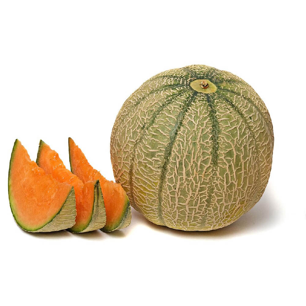 Cantaloupe Melon Morocco 1200g Piece