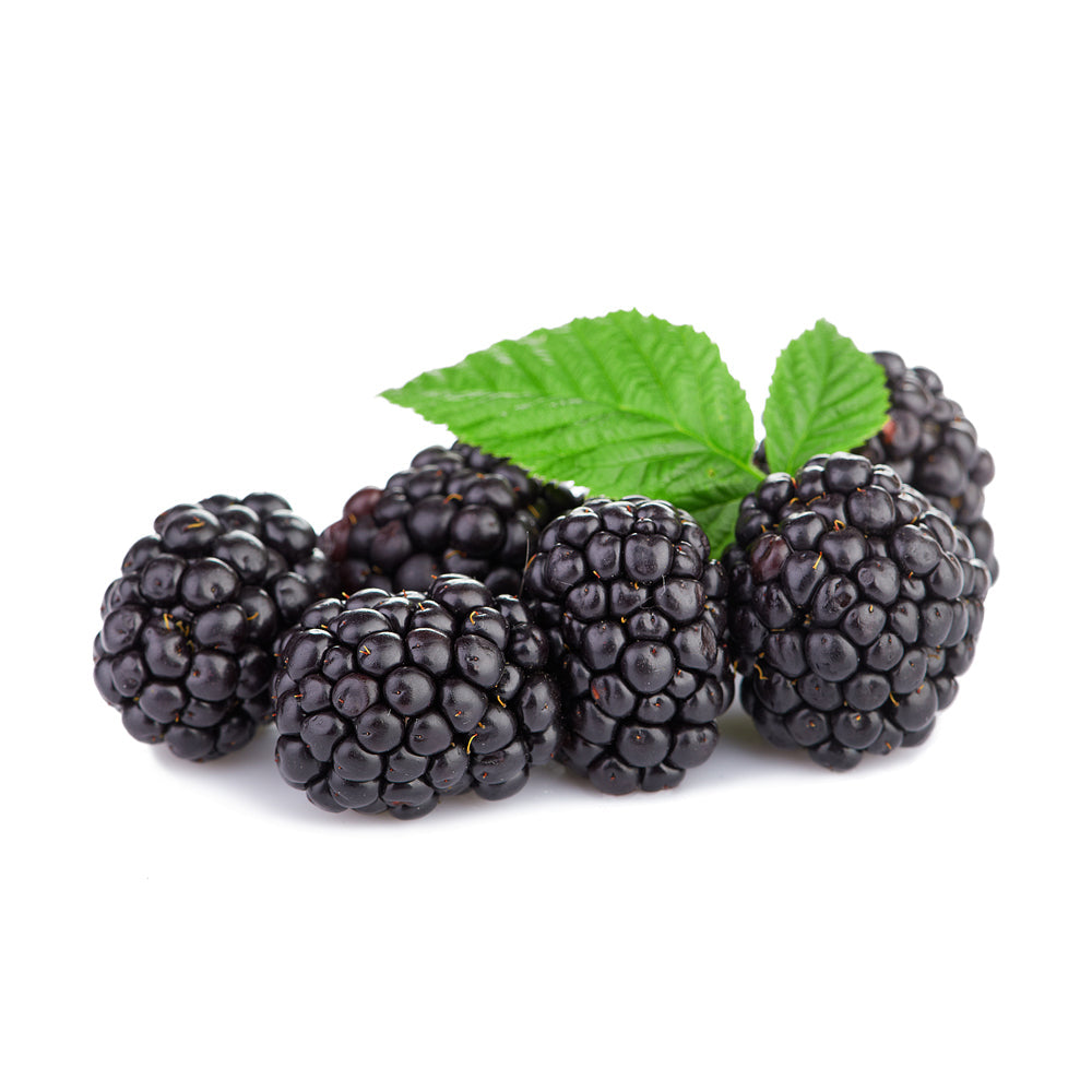 Blackberry Belgium 125g Pack