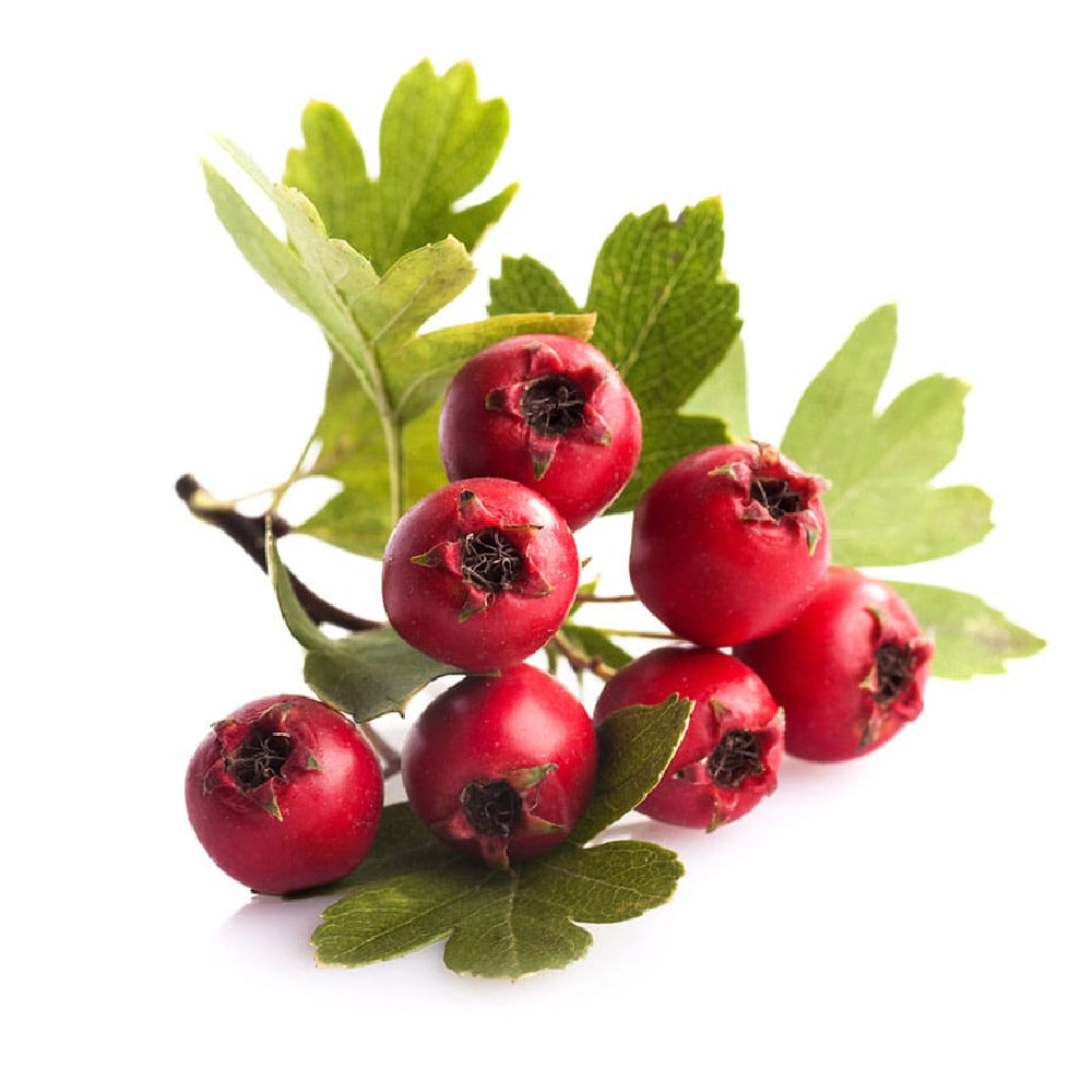 Zaarour/Hawthorn Red Lebanon 500g