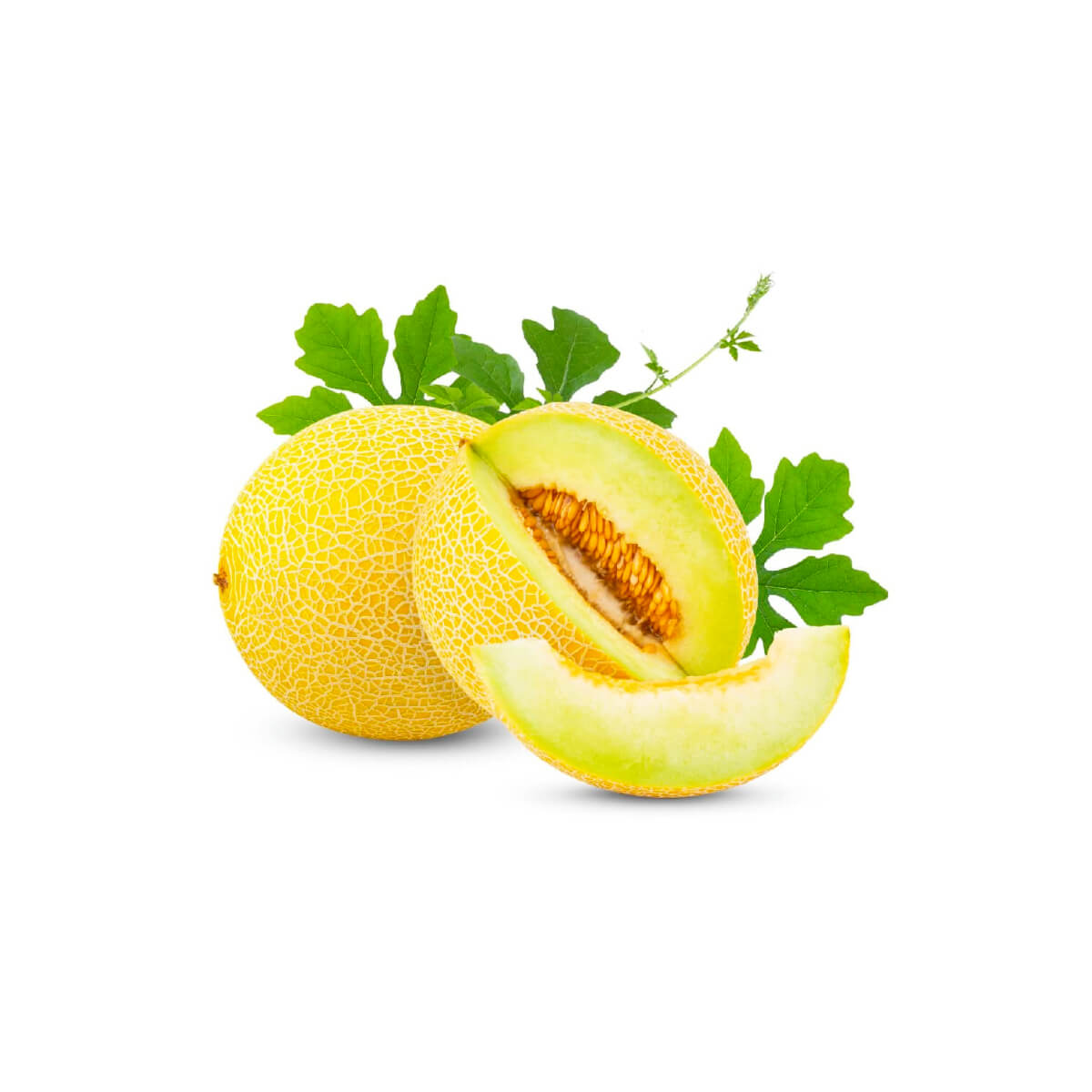 Sweet Melon Lebanon 2-3Kg
