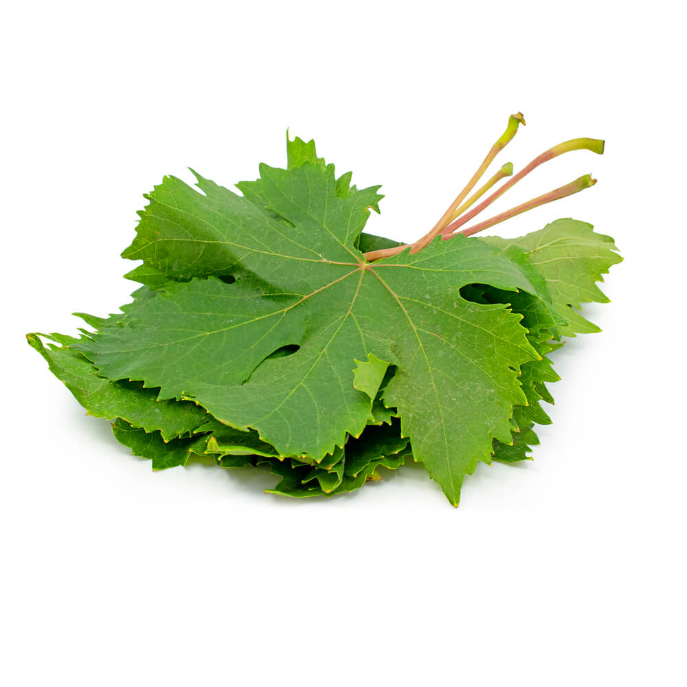 Vine Leaves Jordan Ghassan 250g