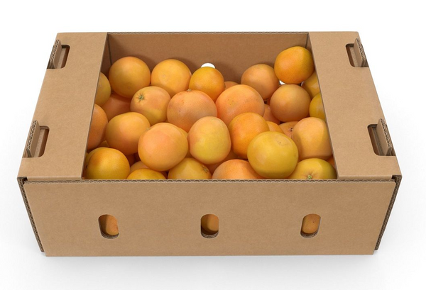 Grapefruit Turkey 7-8 Kg Box