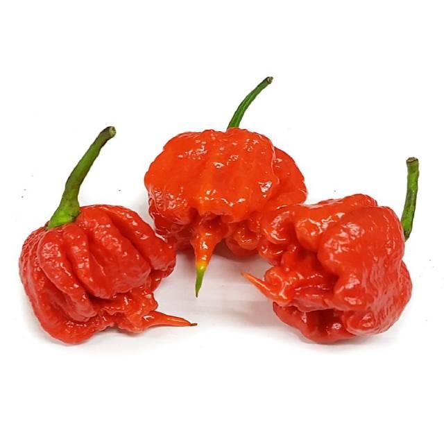 Carolina Reaper chillies 50g