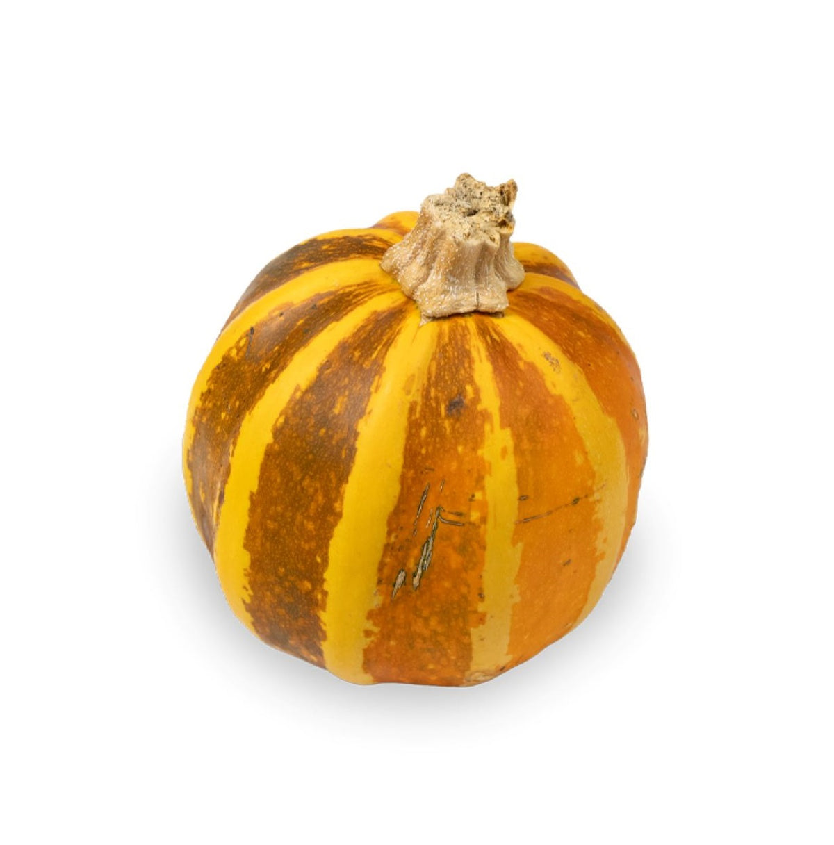 Zebra Stripe Pumpkin USA 1.5kg