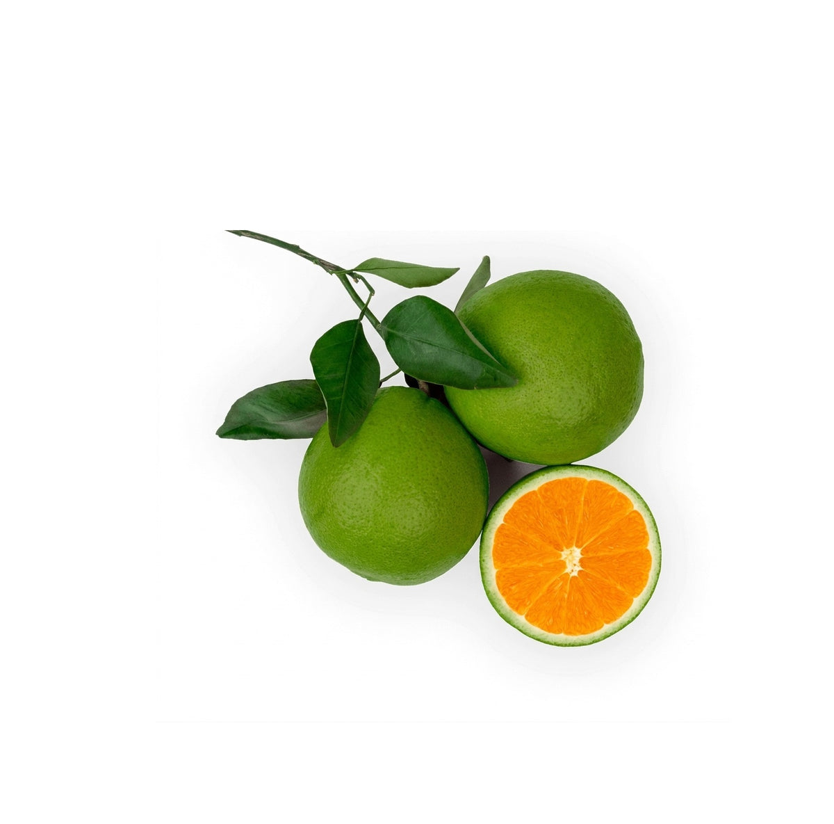 Green Orange Navel Jordan 1kg
