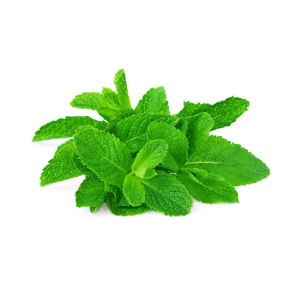 Fresh Herbs