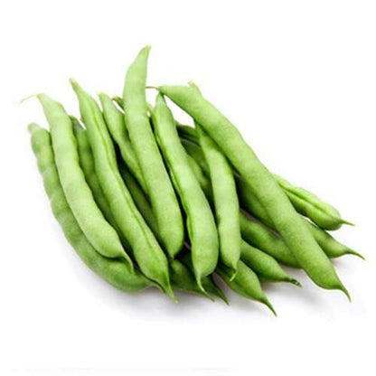 Fresh Beans Lebanon 400g Pack