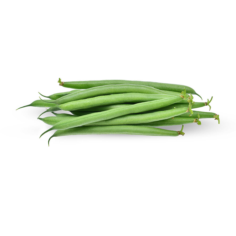 Fresh Beans Lebanon 400g Pack