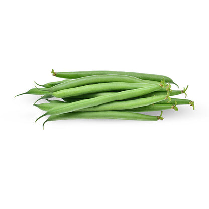 Fresh Beans Lebanon 400g Pack