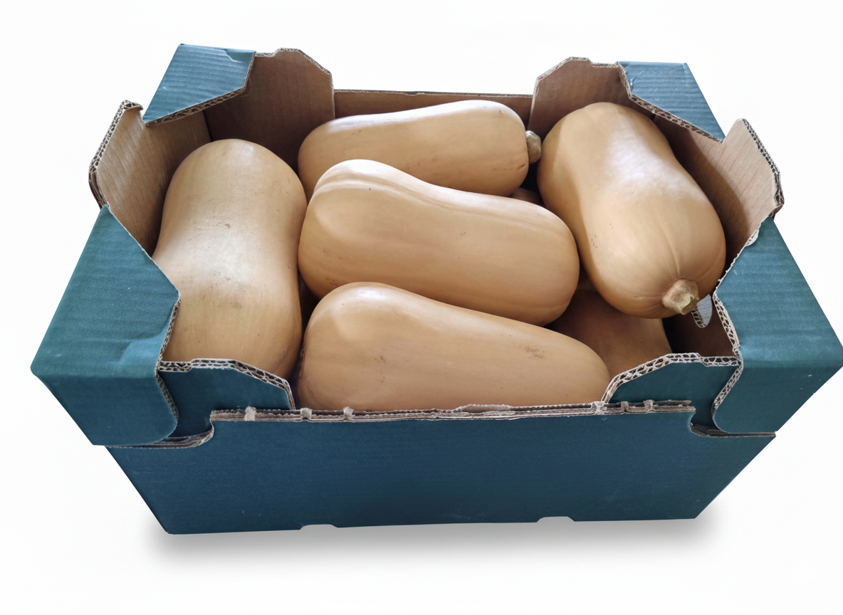 Butternut Pumpkin Box Spain +9.5Kg