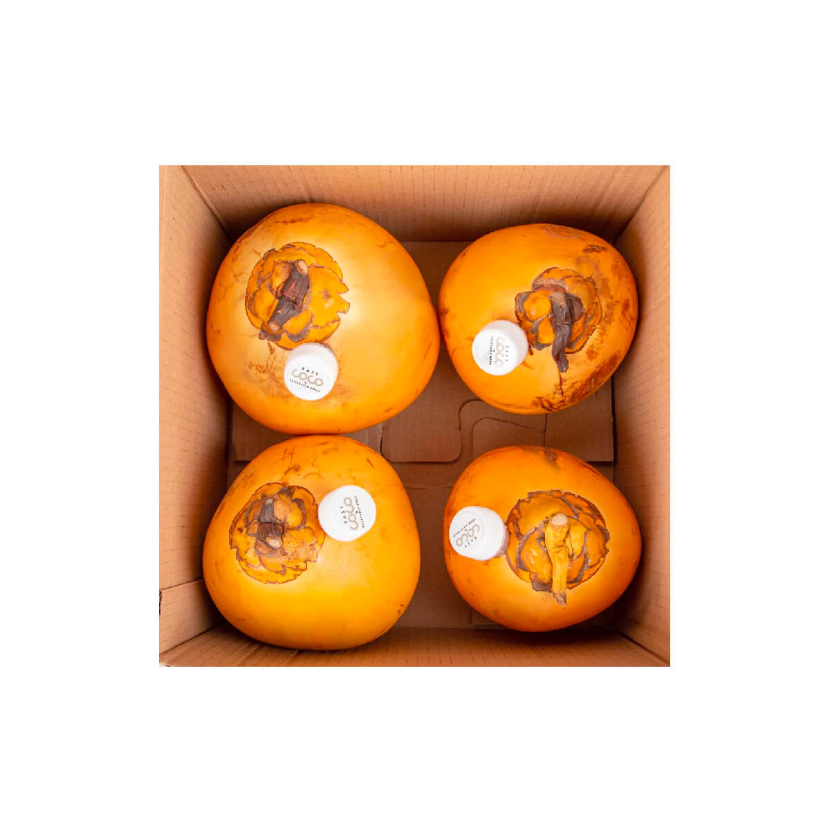 Easy Coco Tender Coconut Srilankan Hamper 4S Sri Lanka 4 Pieces