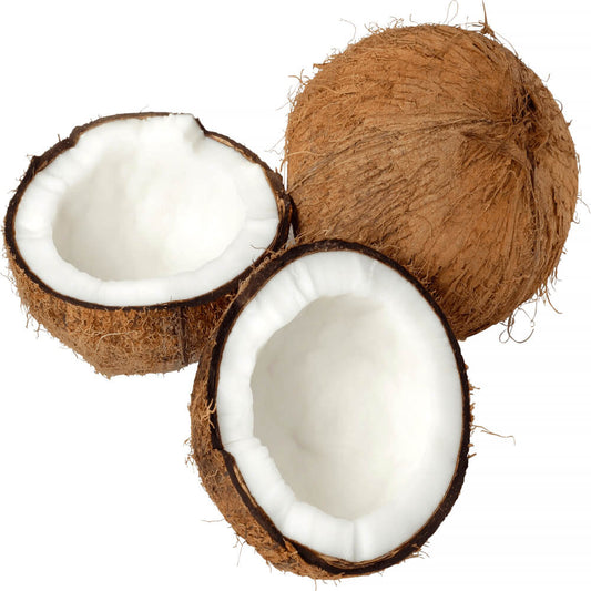 Coconut India 25 Pieces