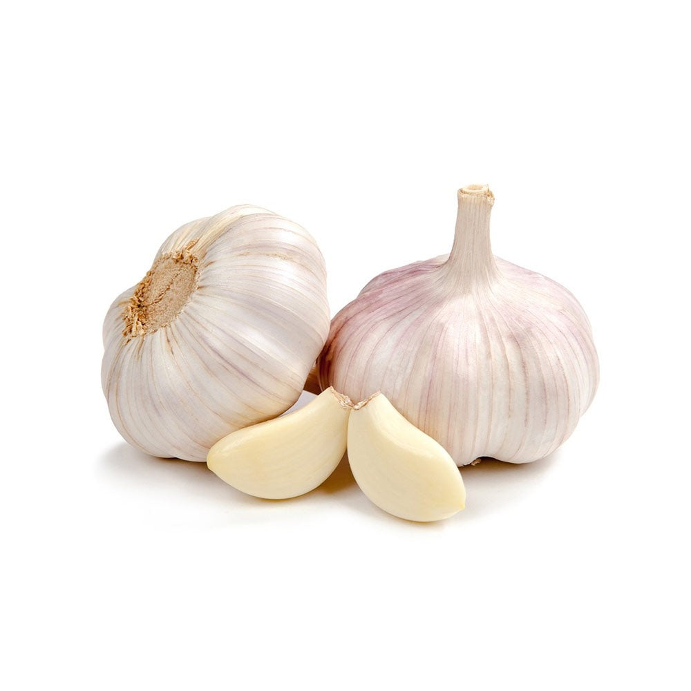Garlic China 20 Pack