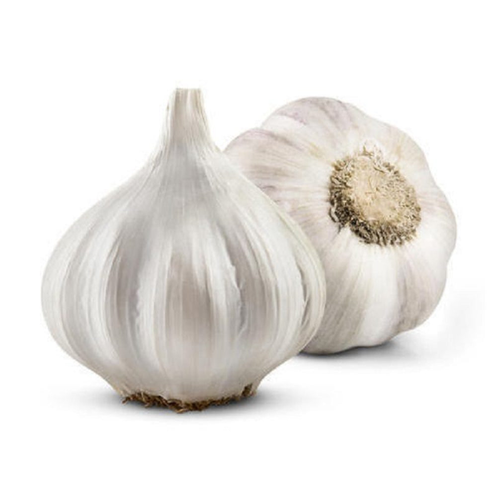 Garlic China 10 Pack