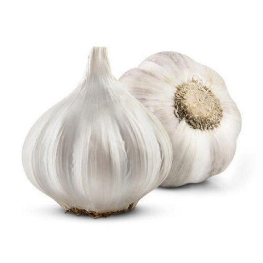 Garlic China 10 Pack
