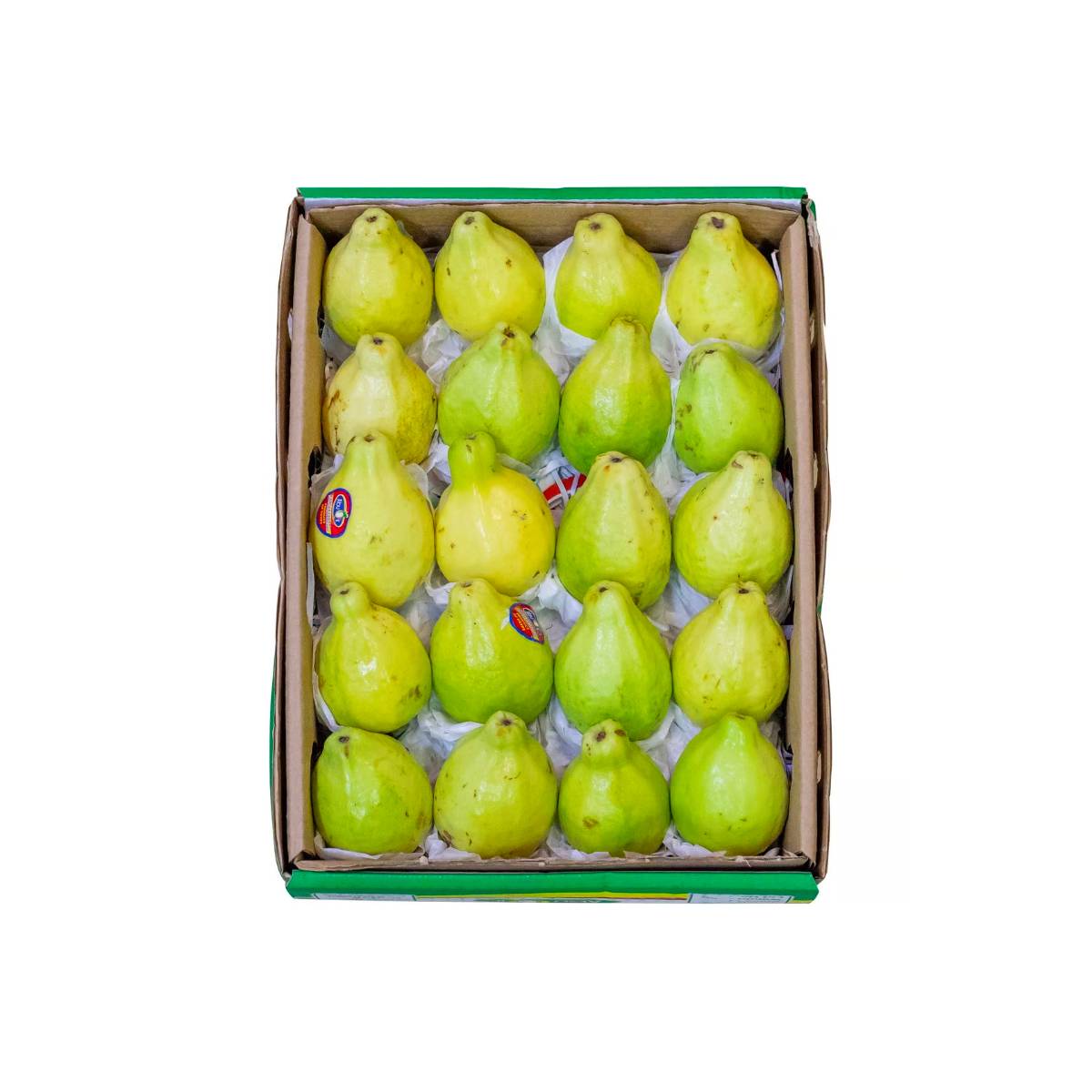 Guava Egypt 1.8Kg Box