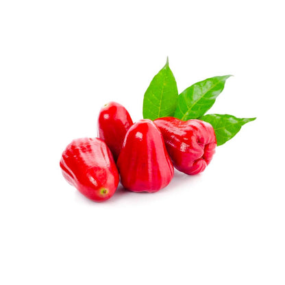 Rose Apple Red Vietnam 1Kg Box