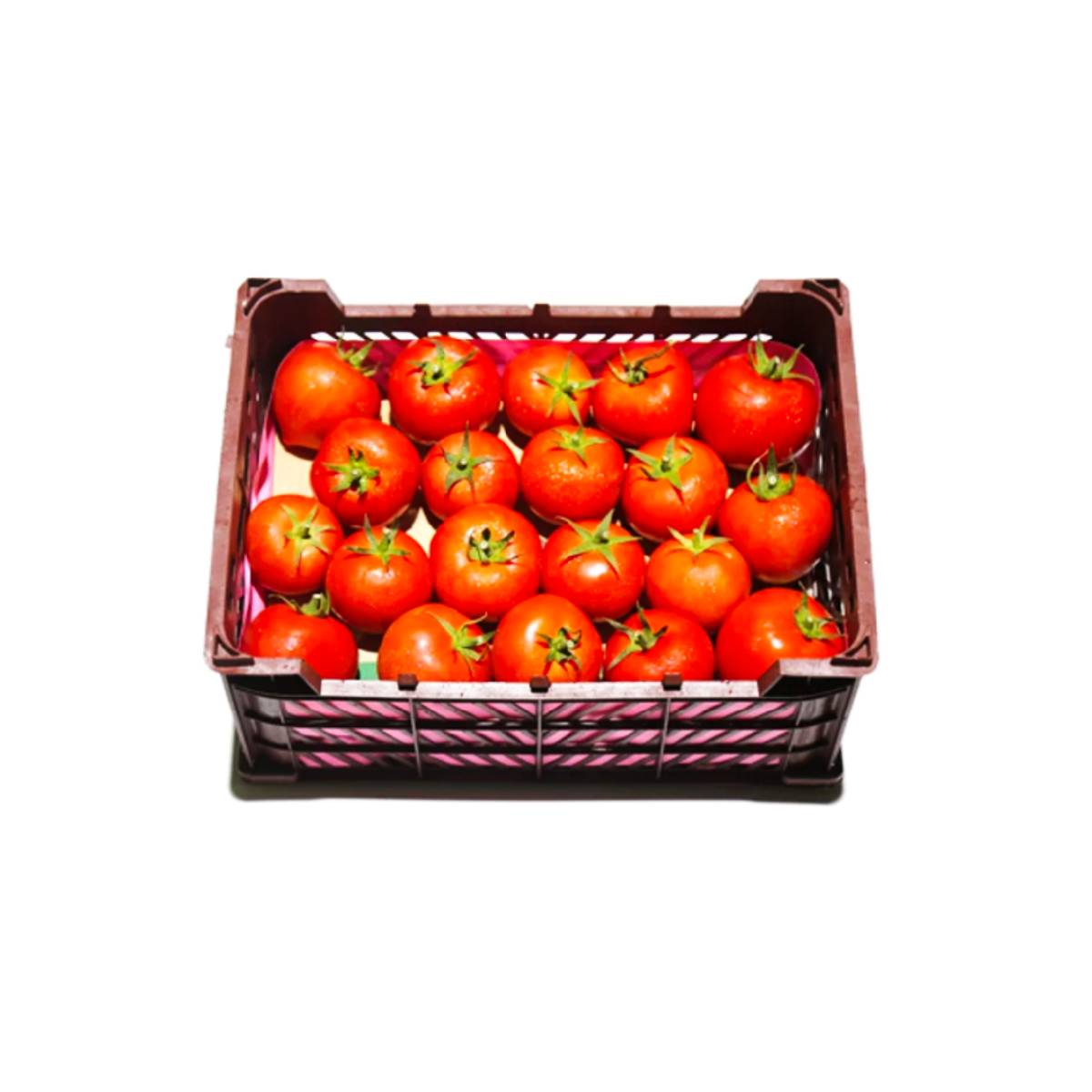Tomato Jordan 7Kg Box