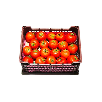 Tomato Jordan 7Kg Box